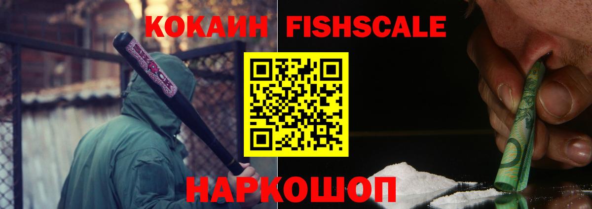 Cocaine Fish Scale  Вход с VPN  Кимовск 
