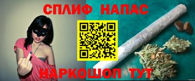 шишки Краснодар