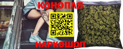 шишки Краснодар