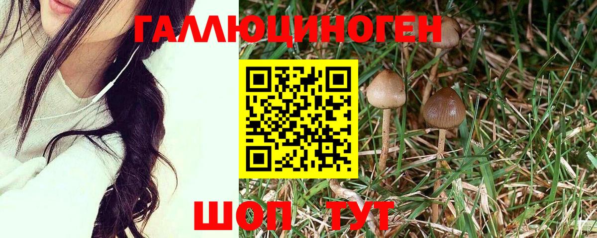 Галлюциногенные грибы мицелий  Вход с VPN  Кимовск 