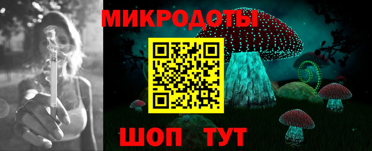 Галлюциногенные грибы Psilocybine cubensis Кимовск